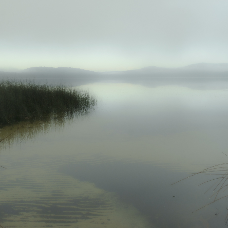 Myall Lake Mist